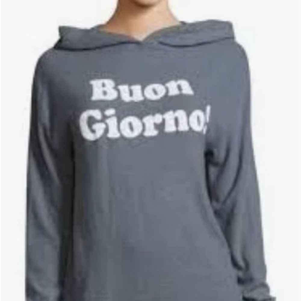 Buon giorno Wildfox Blue hoodie sweatshirt.
Very soft. Medium M